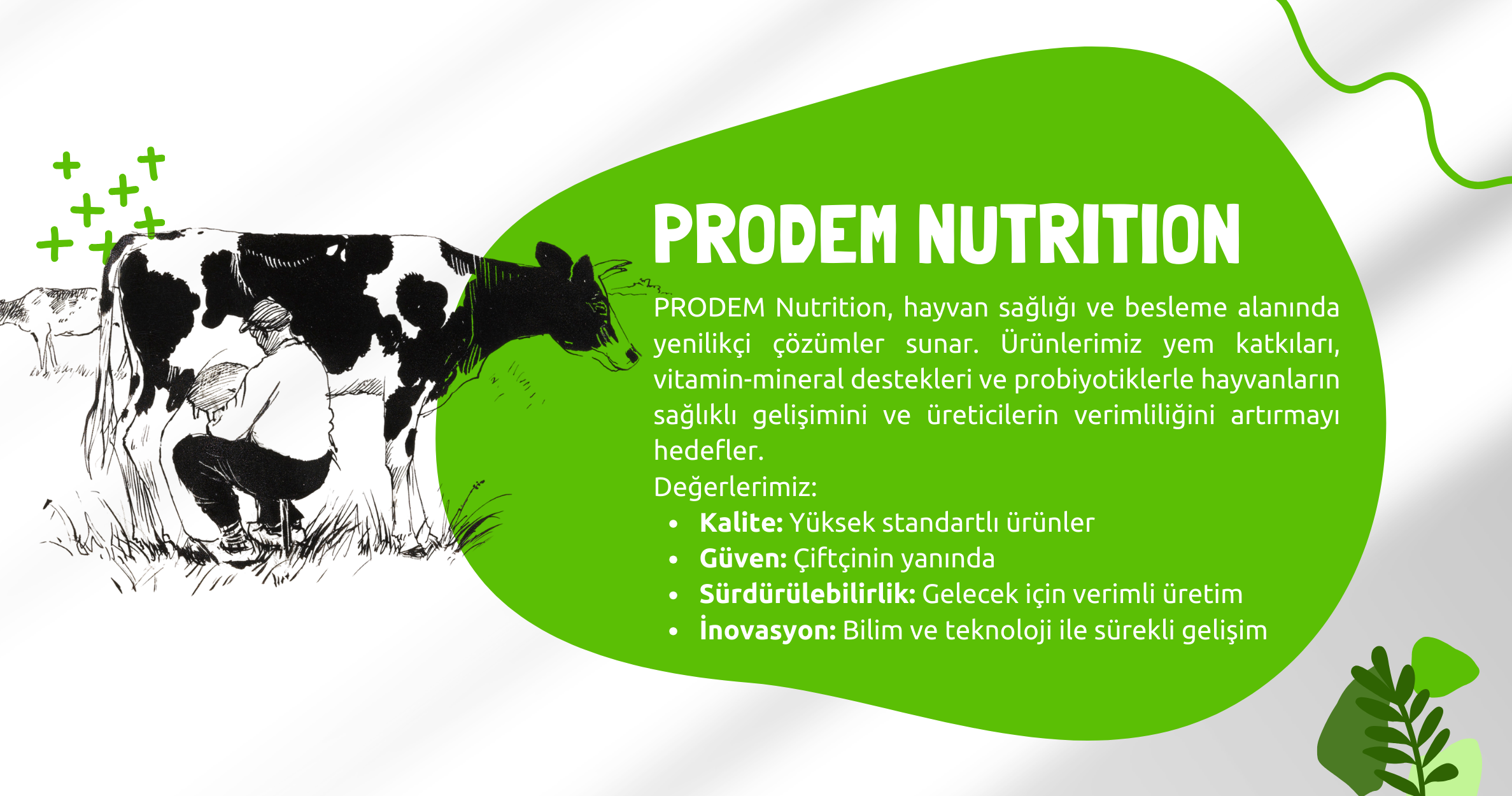 “Güvenilir Yem Katkı Çözümleri”